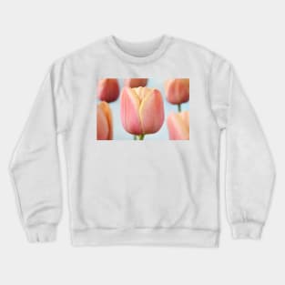 Tulipa &#39;La Belle epoque&#39; Double Early Tulip Crewneck Sweatshirt